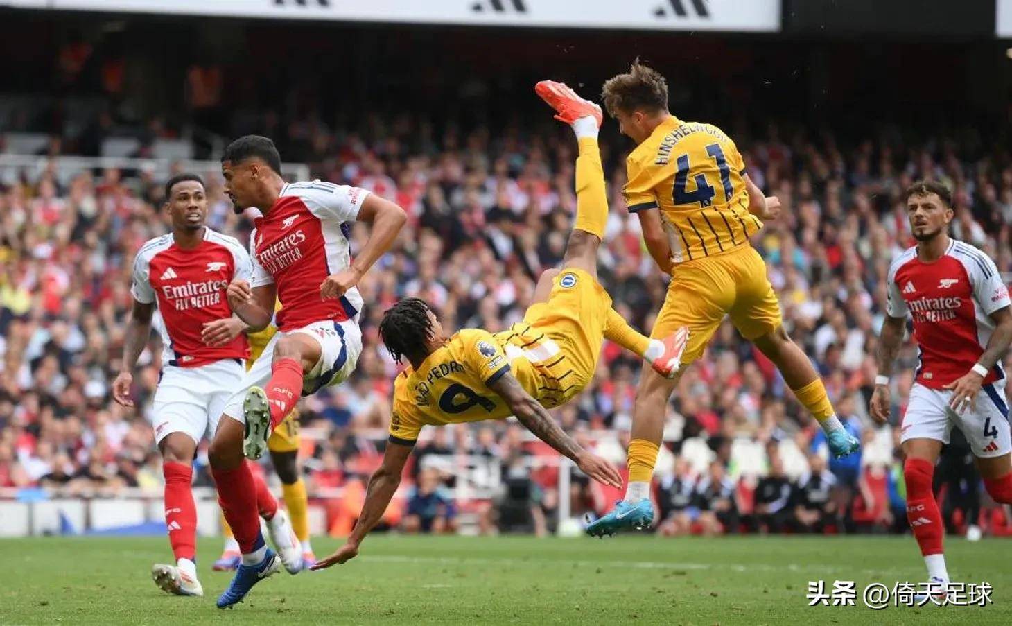 案例分析 案例分析